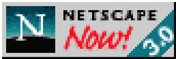 Netscape Internet Browser